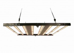 Nyota Neutron 800 Вт Светодиодный светильник LED