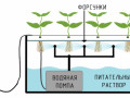 aero-gidroponika_1-500x282